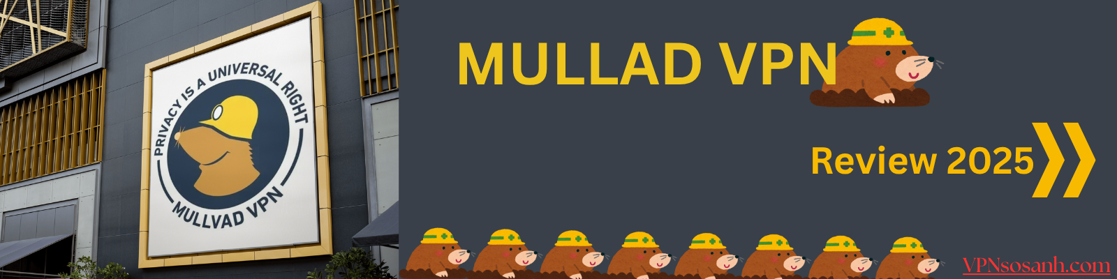 Mullvad VPN Review 2025 – Ẩn danh tuyệt đối với cash/crypto?